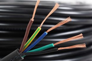 WDZBN-BYJ電線詳解 特性、應(yīng)用與行業(yè)認(rèn)知