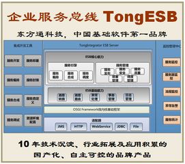 攜手東方通tongesb，共創數字化轉型新篇章 誠邀客戶、伙伴與渠道合作共贏